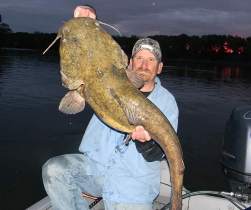 Angler holding a large catfish caught on Off Shore planer boards